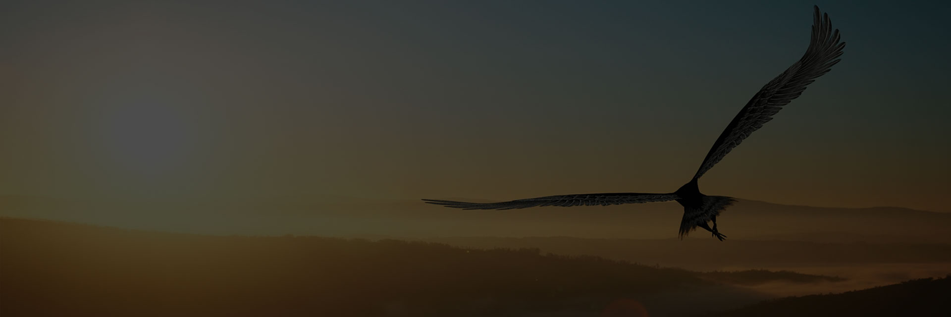 蓄電池充電機(jī)圖片